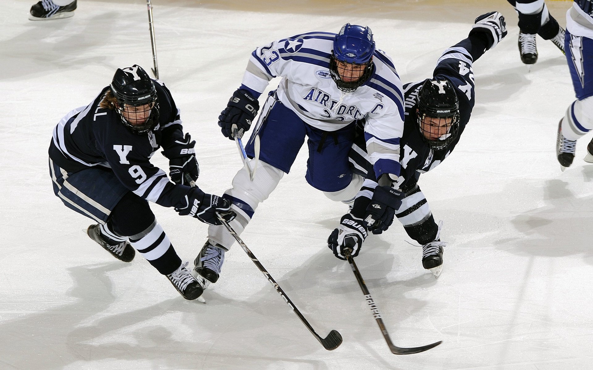 【场地环境影响】不同场馆如何影响比赛表现,场地环境对裁判员有什么影响